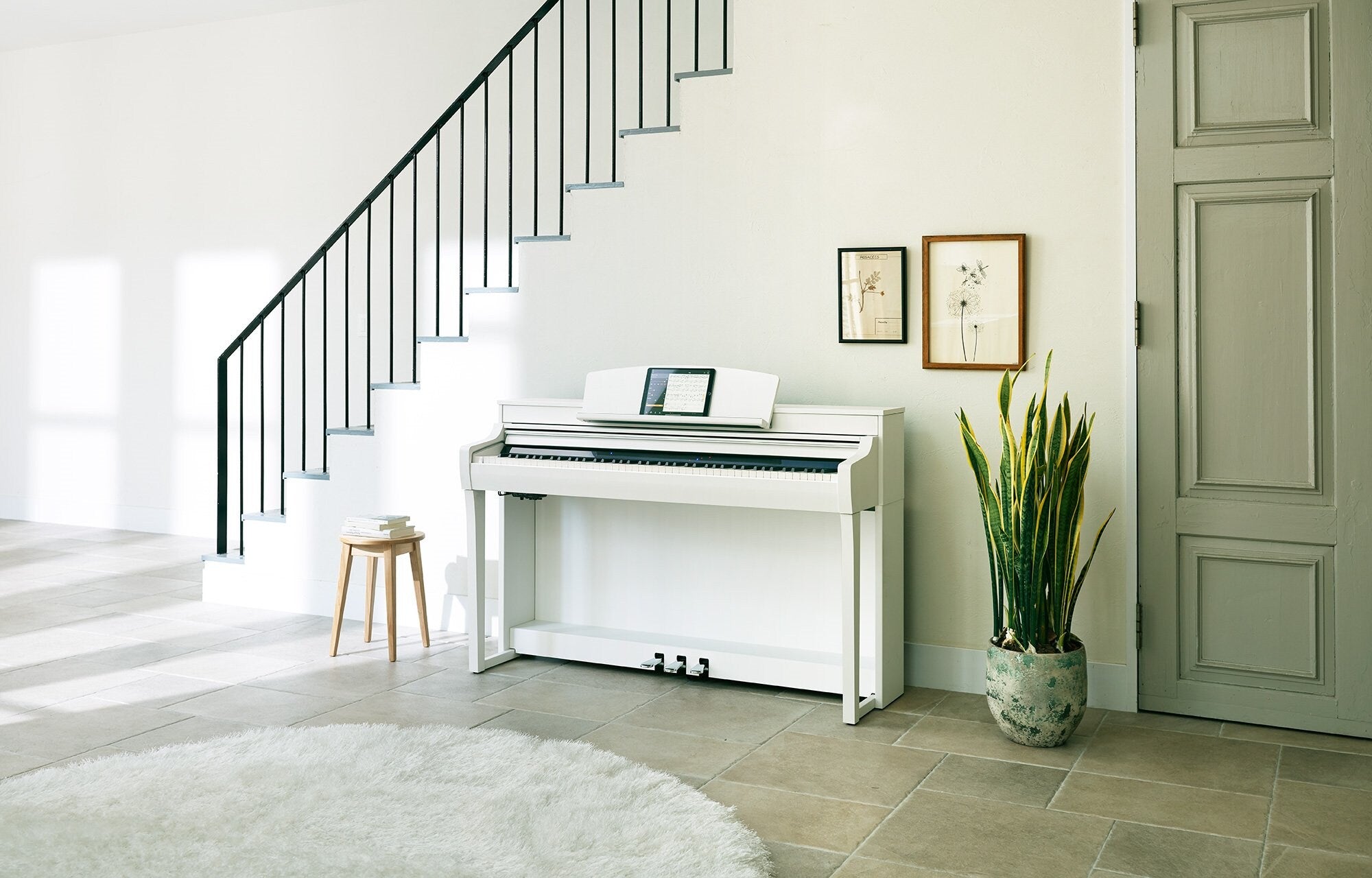 YAMAHA Clavinova CSP-255 Digitalpiano