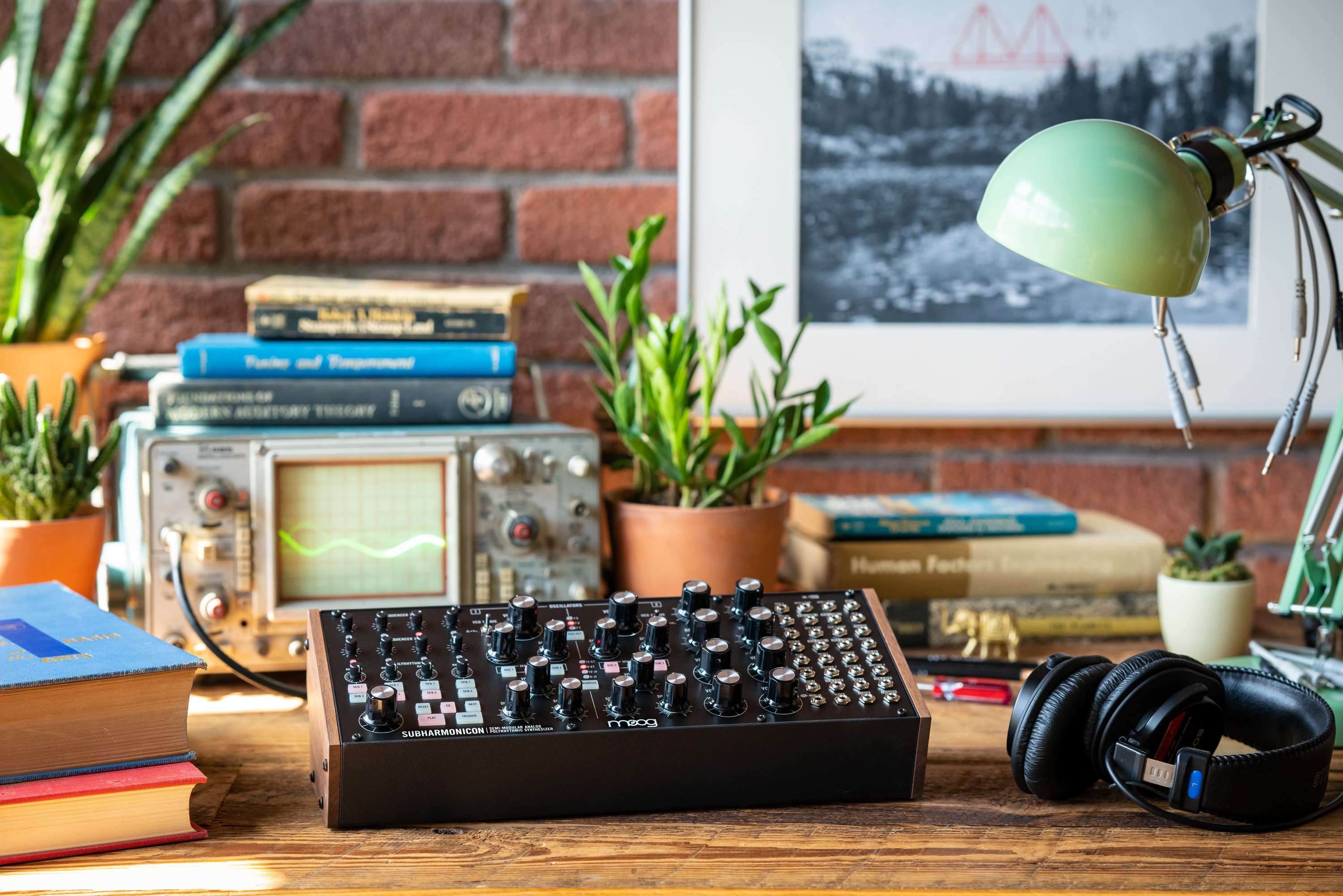 MOOG Subharmonicon Analog Synth Module