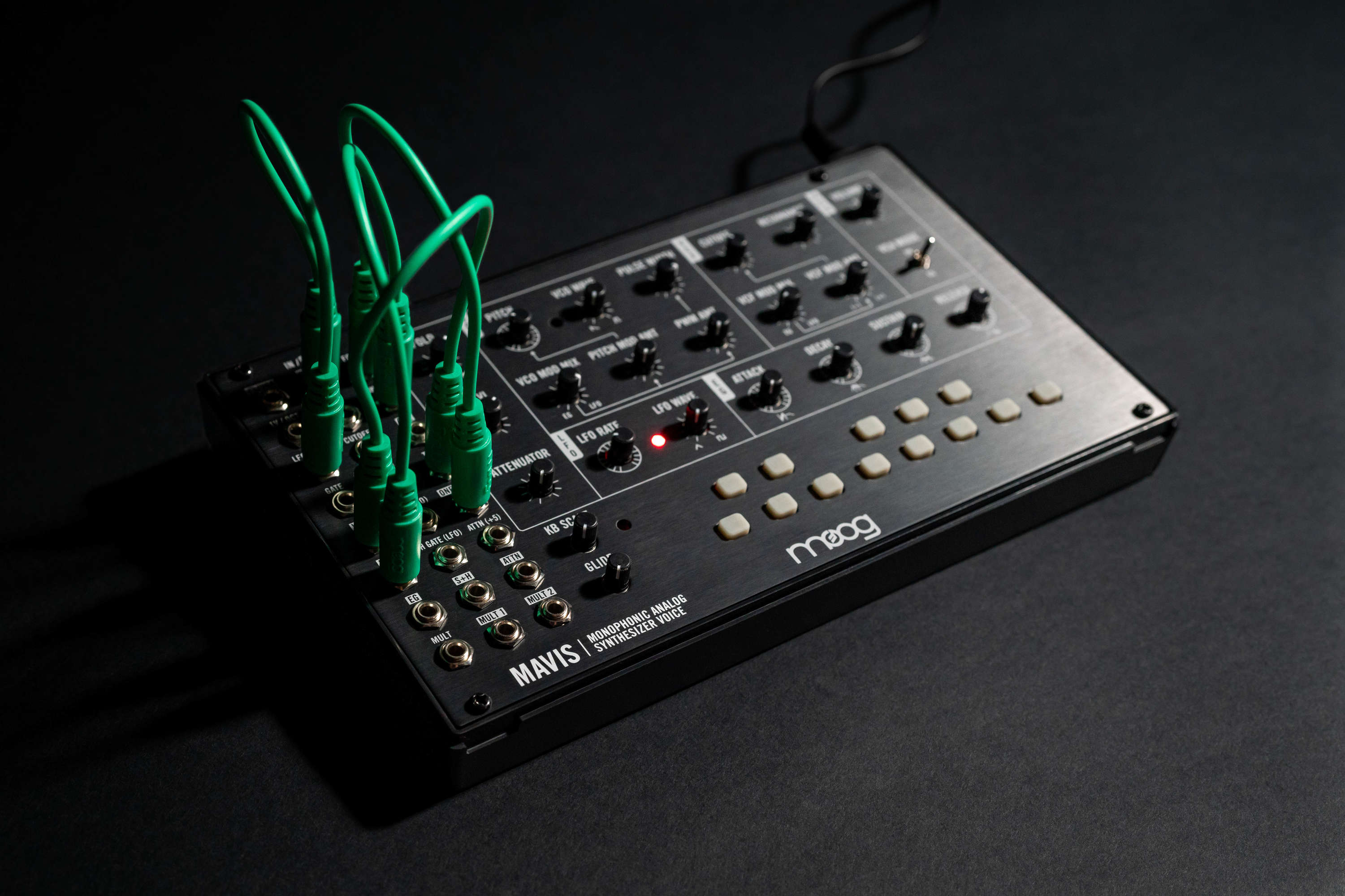 MOOG Mavis Monophonic Analog Synthesizer Voice
