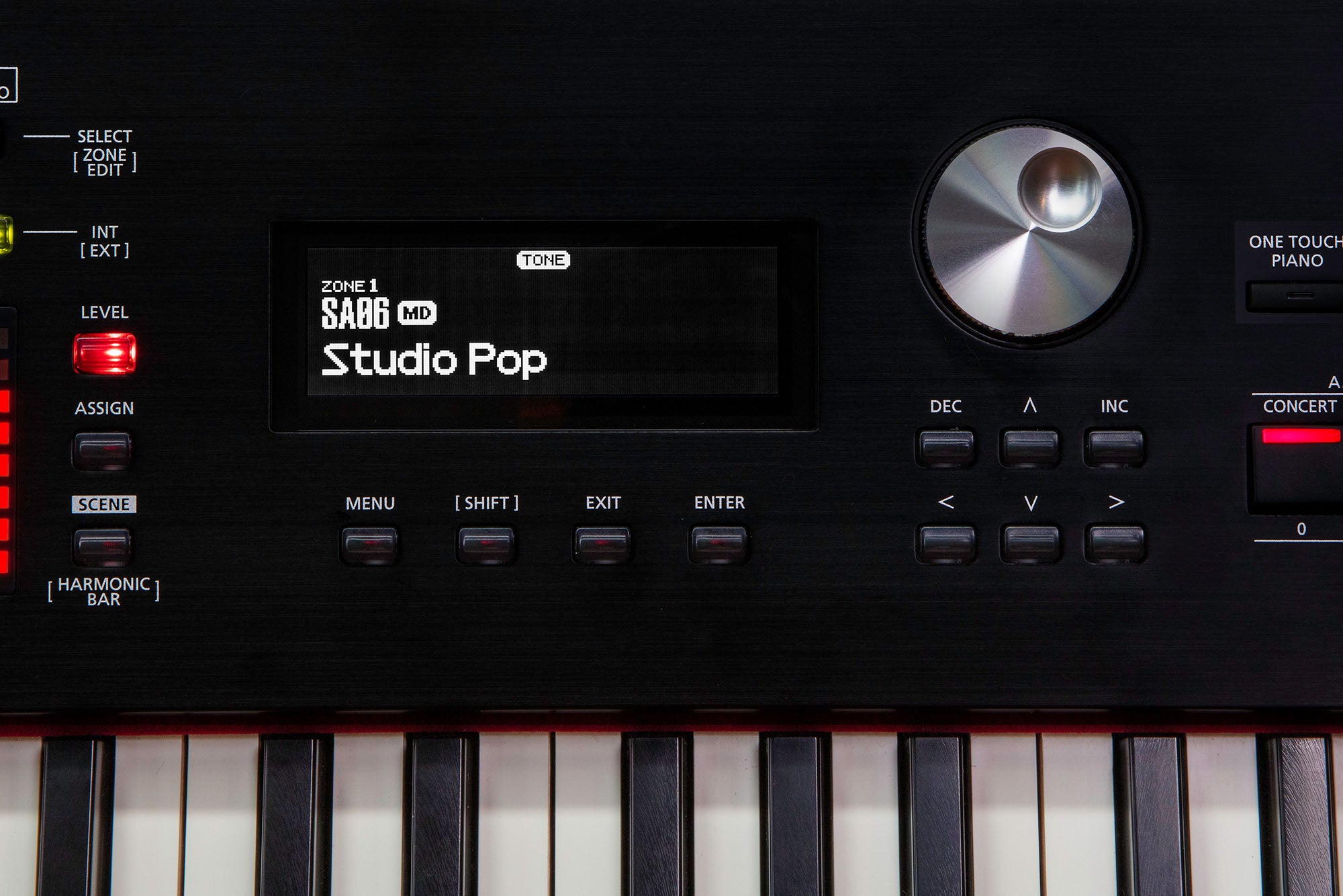 ROLAND RD-2000 EX Stagepiano