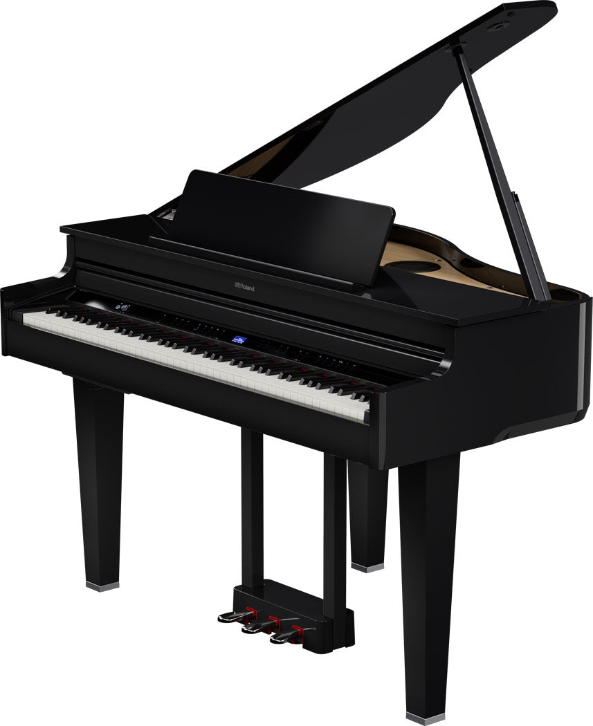 ROLAND GP-6 Digitalflügel