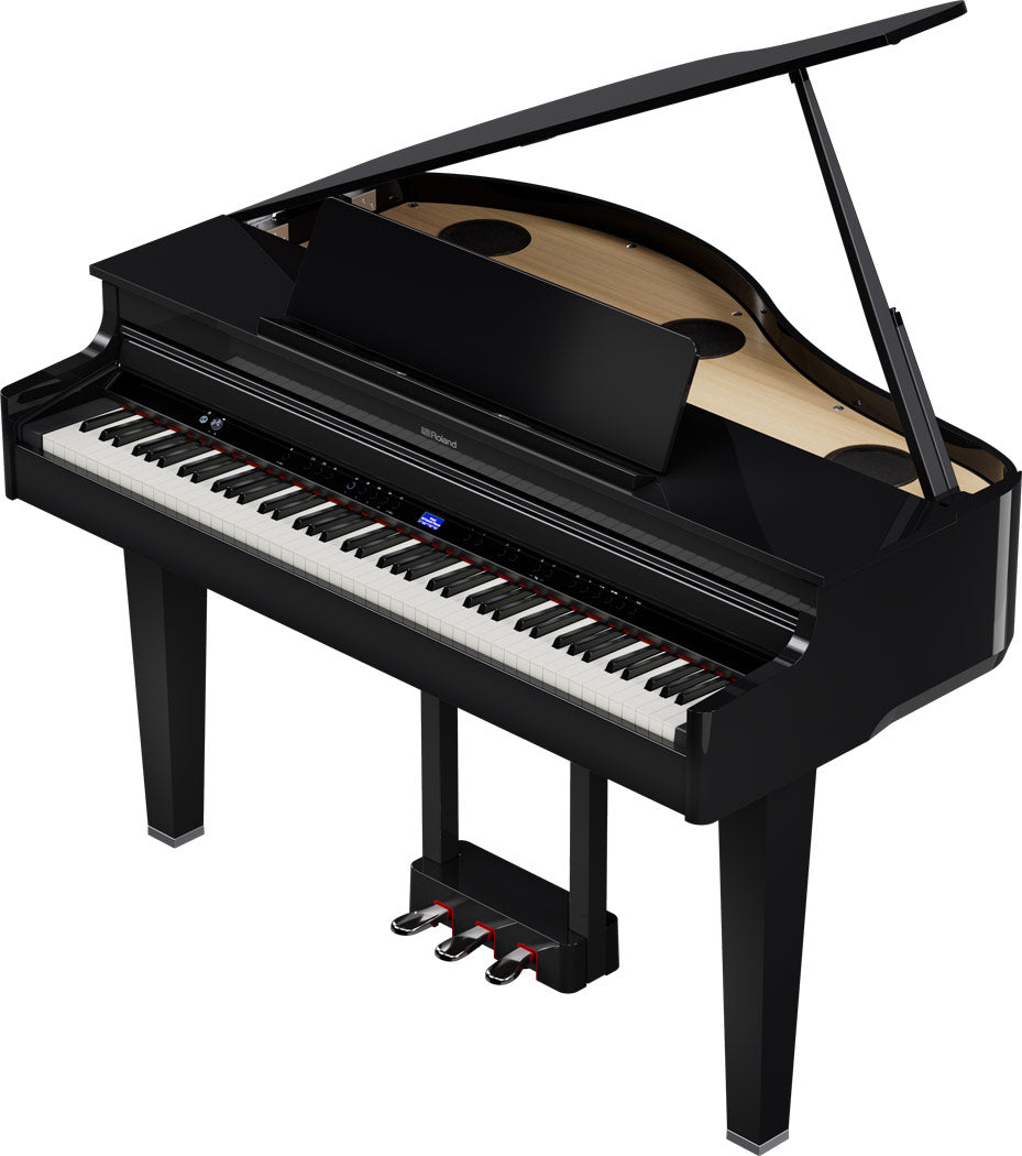 ROLAND GP-6 Digitalflügel