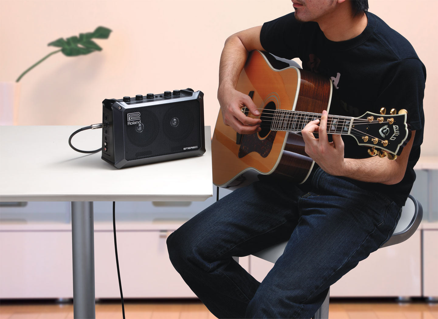 ROLAND MOBILE CUBE - Battery Powered Stereo Amplifier
