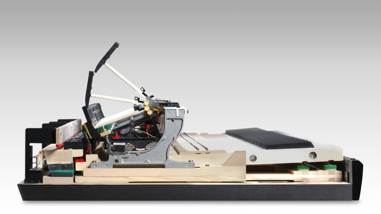 KAWAI Novus NV-10s Hybridflügel