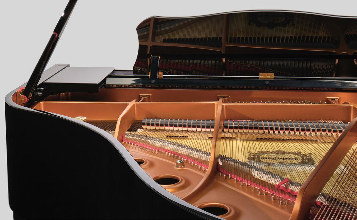 YAMAHA GCB1 Akustik-Flügel
