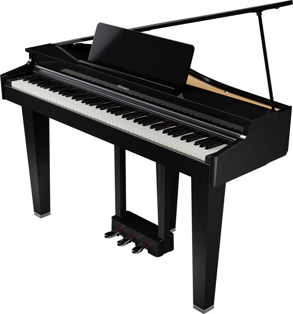 ROLAND GP-3 Digitalflügel