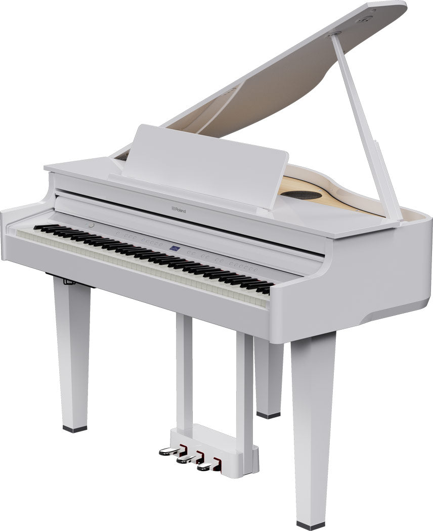 ROLAND GP-6 Digitalflügel
