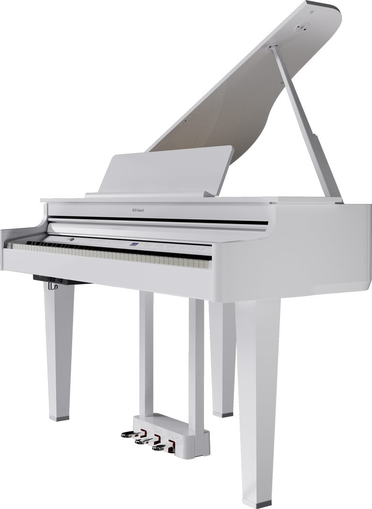 ROLAND GP-6 Digitalflügel