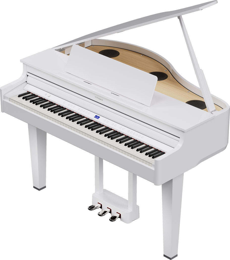 ROLAND GP-6 Digitalflügel