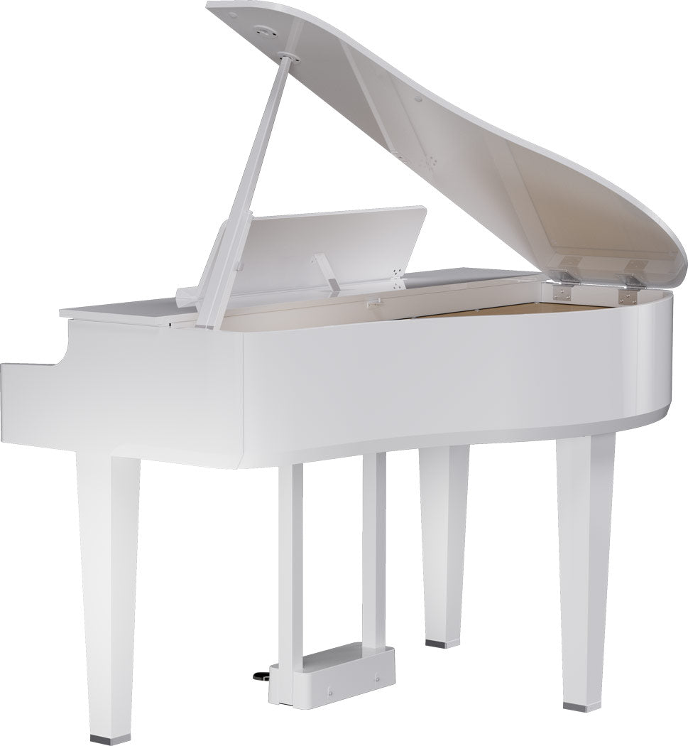 ROLAND GP-6 Digitalflügel