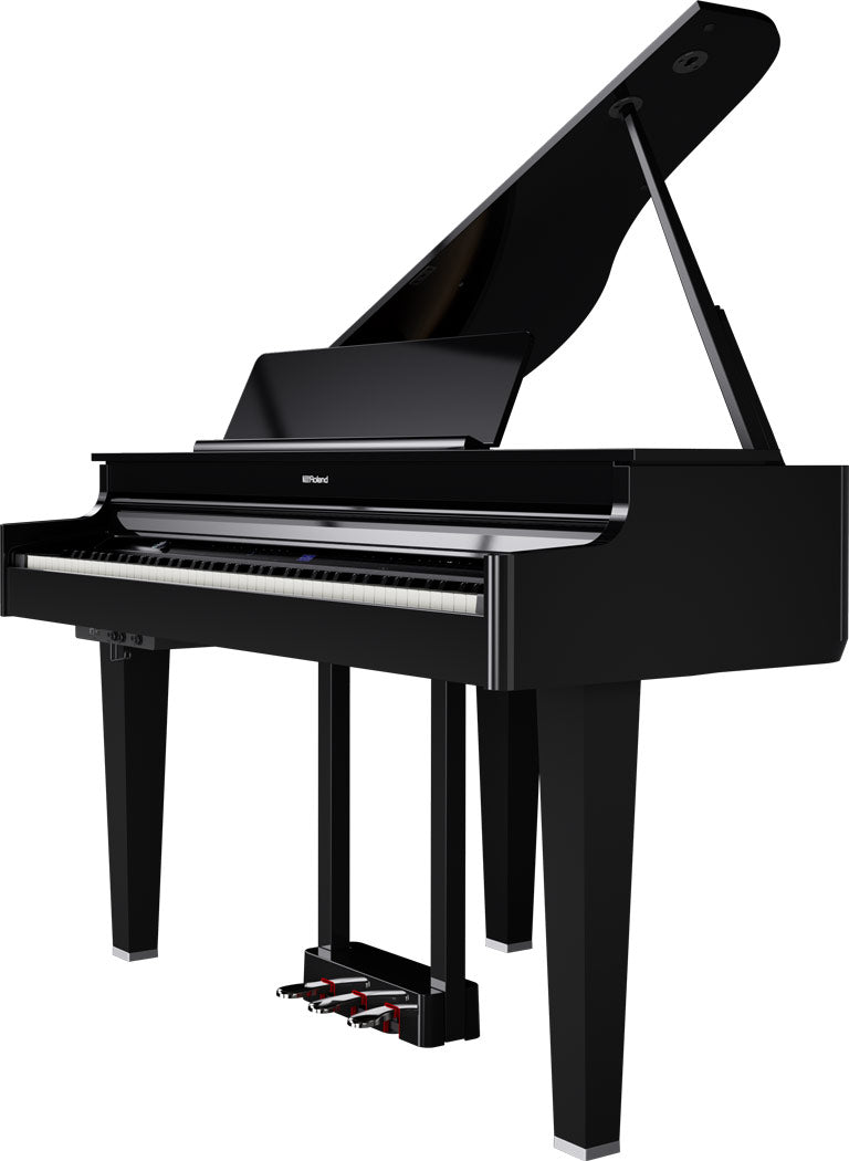 ROLAND GP-6 Digitalflügel