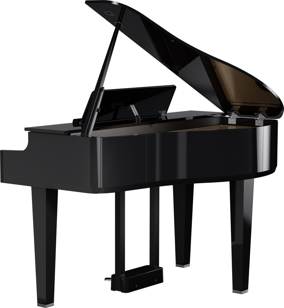 ROLAND GP-6 Digitalflügel