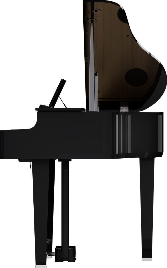ROLAND GP-6 Digitalflügel