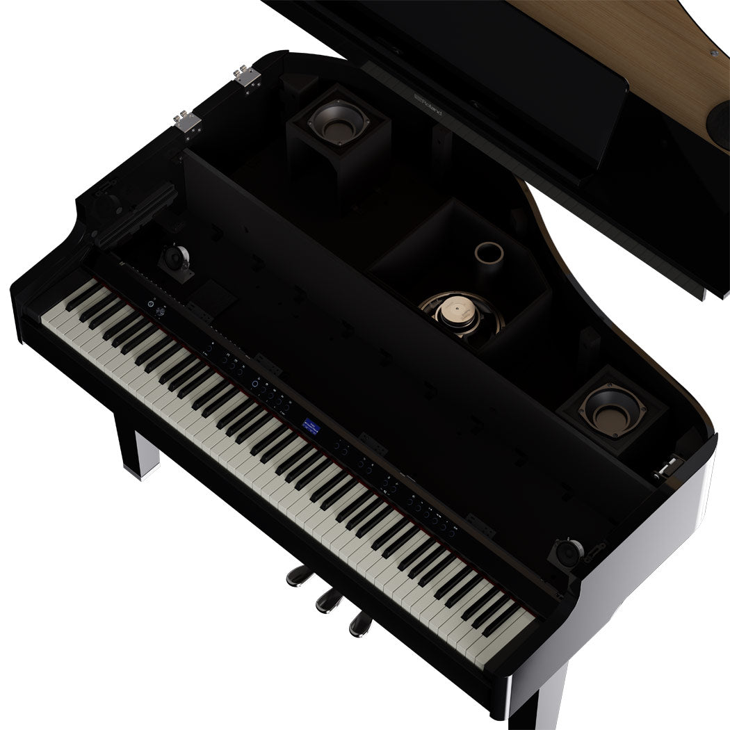 ROLAND GP-6 Digitalflügel