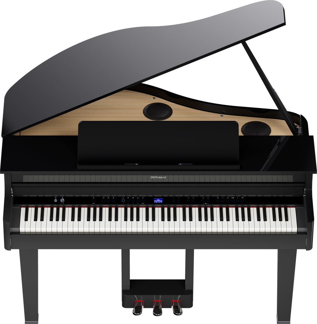 ROLAND GP-6 Digitalflügel